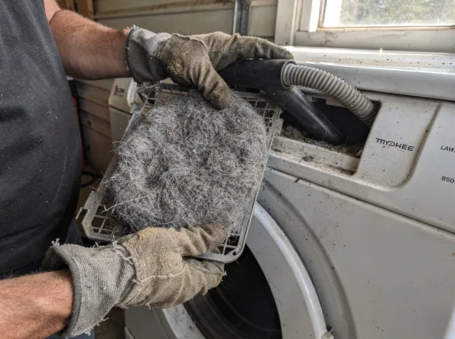Cleaning Dryer Lint Trap in Windsor